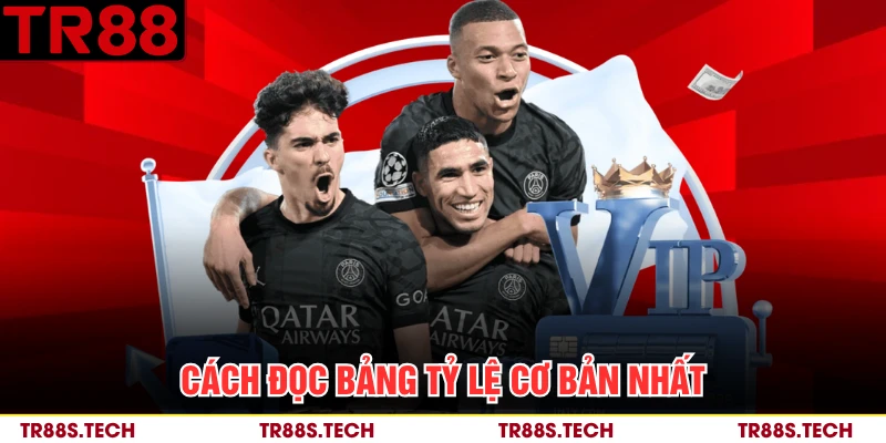 Cách đọc bảng tỷ lệ cơ bản nhất