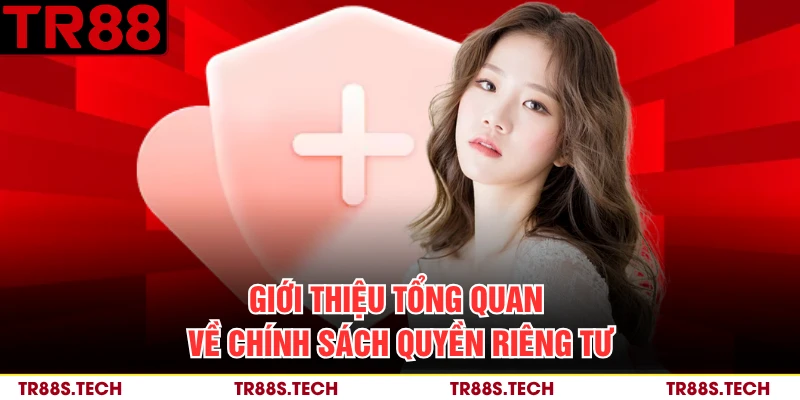 Giới thiệu tổng quan về chính sách quyền riêng tư 
