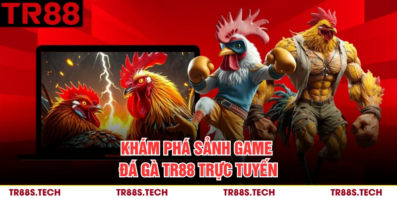 Khám phá sảnh game đá gà TR88 trực tuyến 